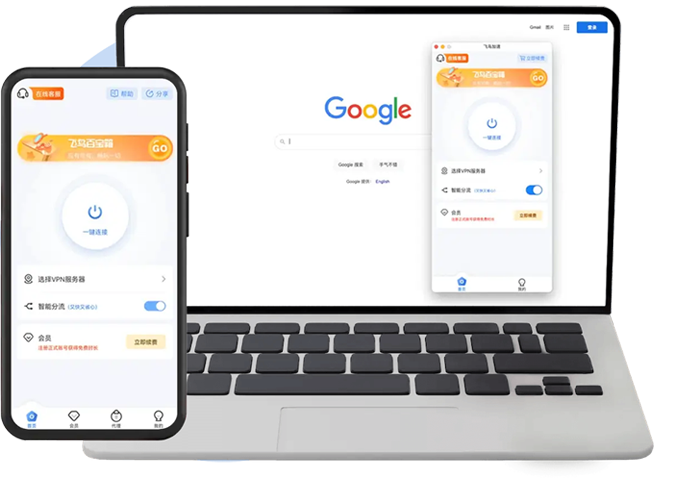 飞鸟VPN 应用界面
